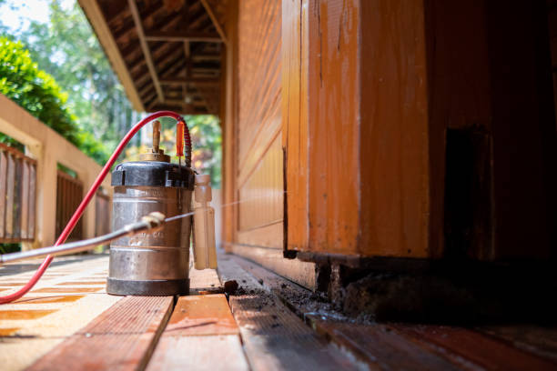 Best Wasp Removal Services  in Martins Ferry, OH