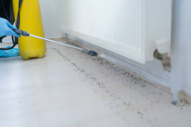 Best Mosquito Control Services  in Martins Ferry, OH
